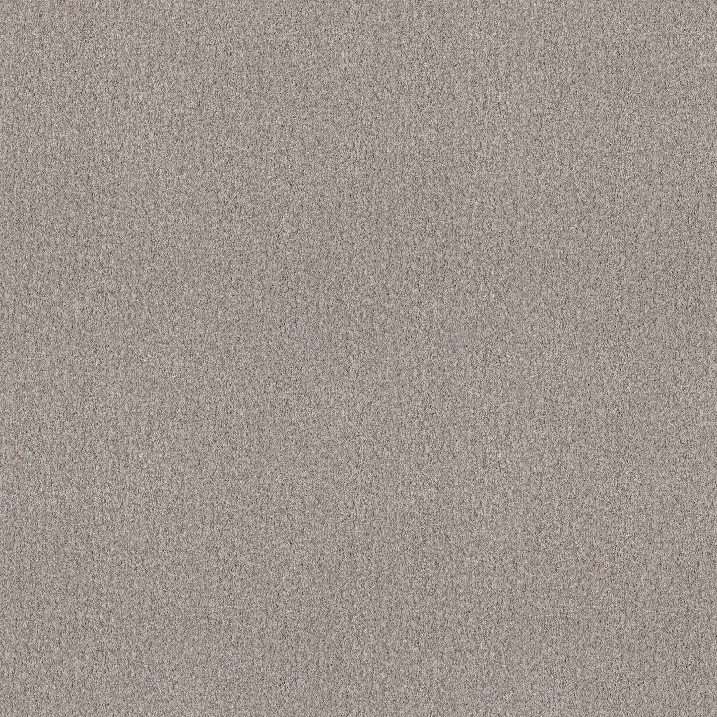 BERBER CUT PILE