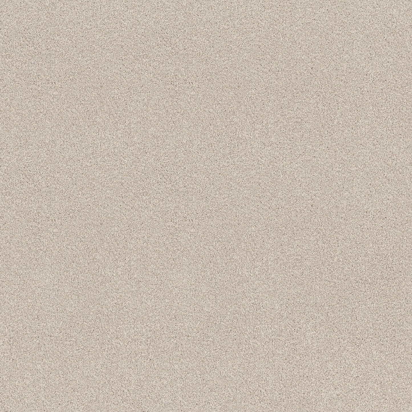 BERBER CUT PILE