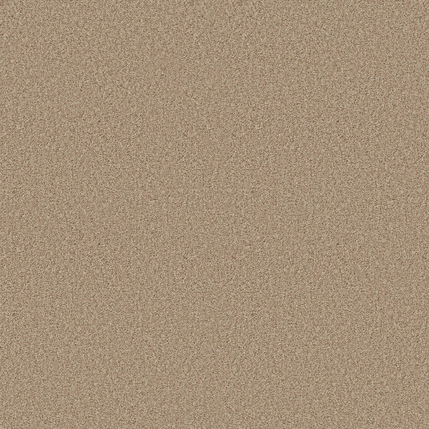 BERBER CUT PILE