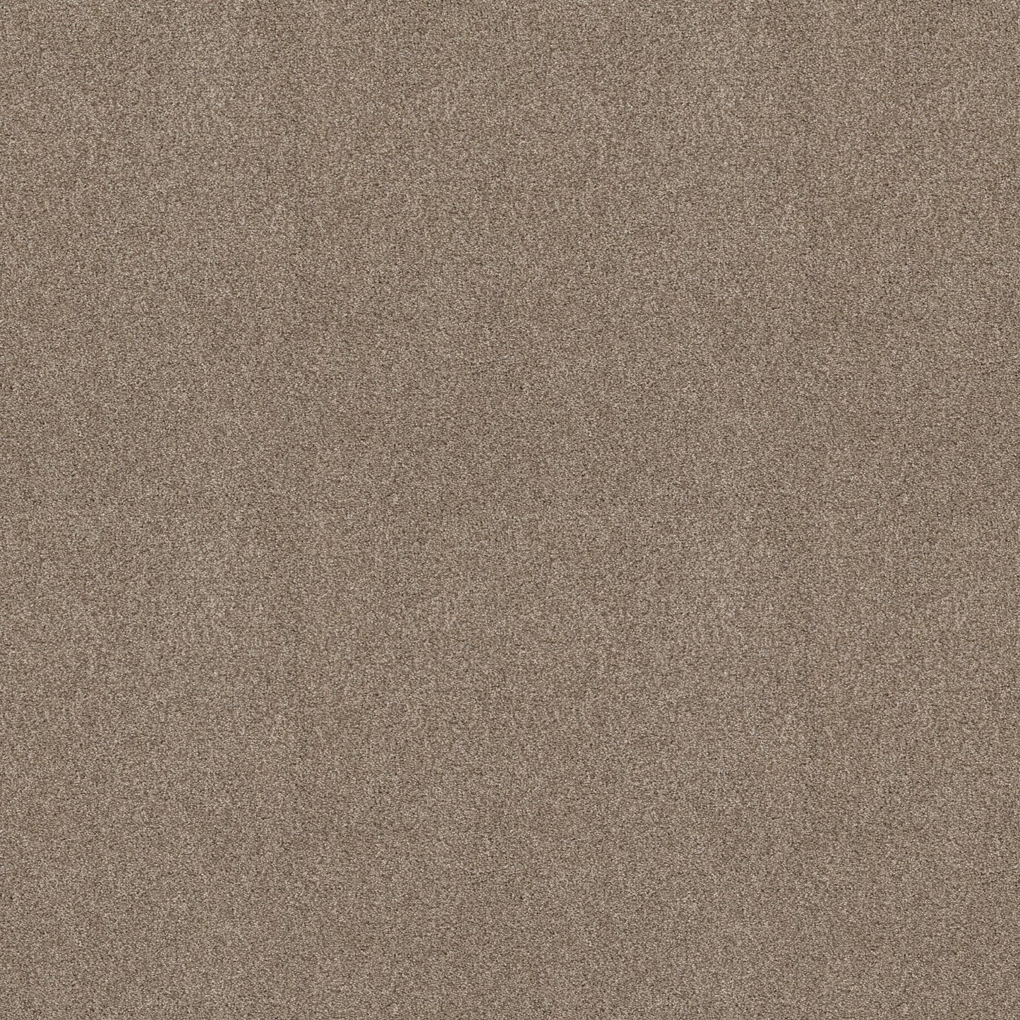 BERBER CUT PILE