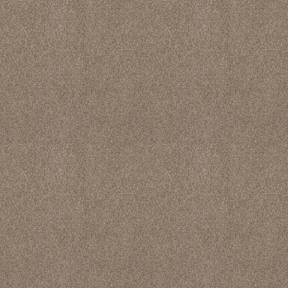 BERBER CUT PILE