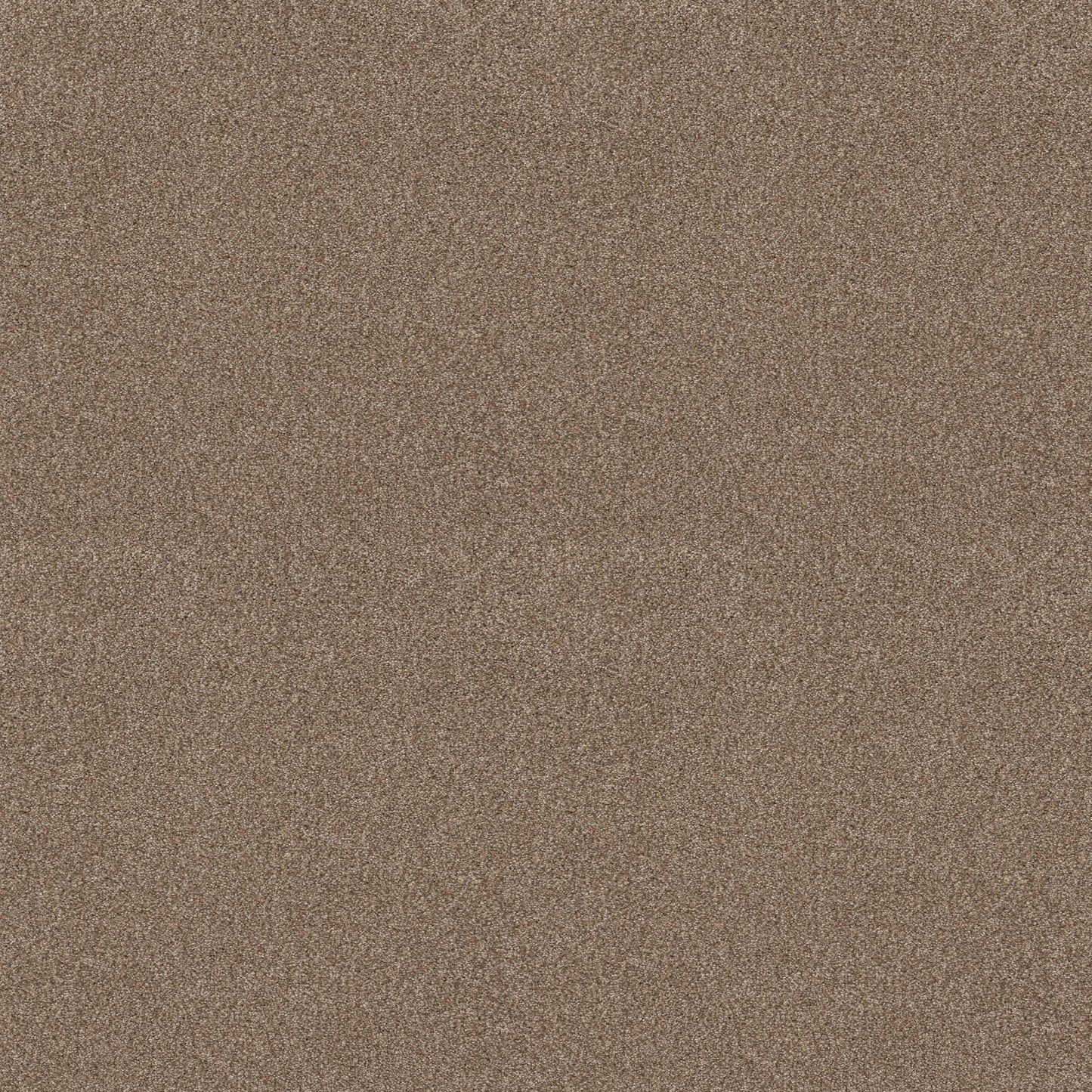 BERBER CUT PILE