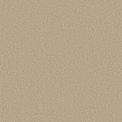 BERBER CUT PILE