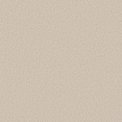BERBER CUT PILE