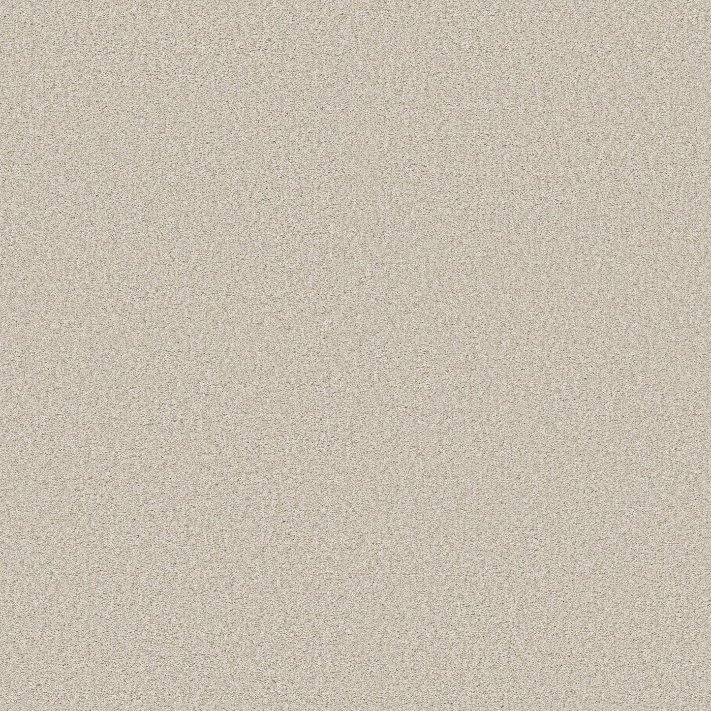 BERBER CUT PILE