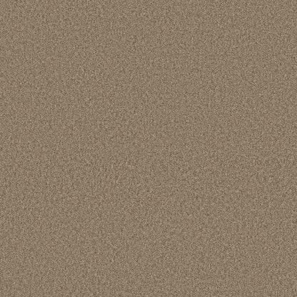 BERBER CUT PILE