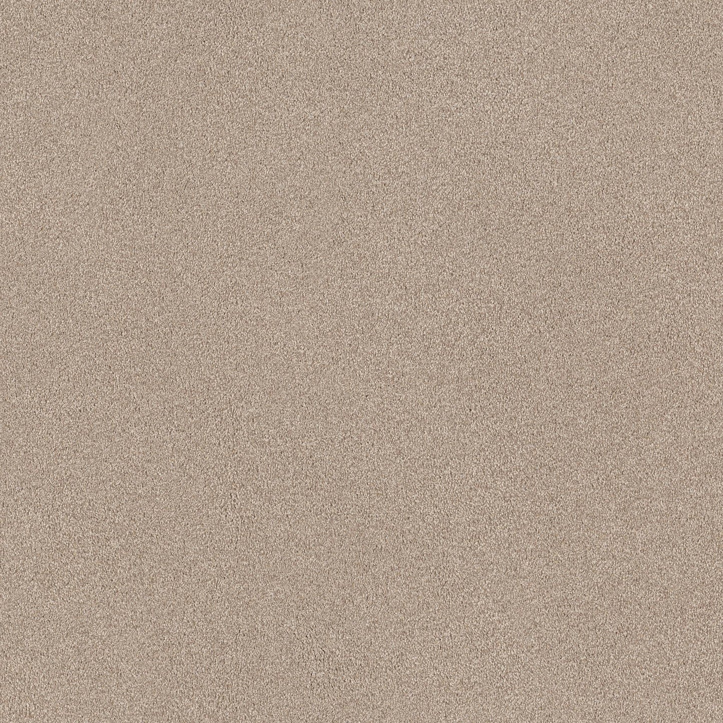 BERBER CUT PILE
