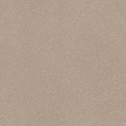 BERBER CUT PILE