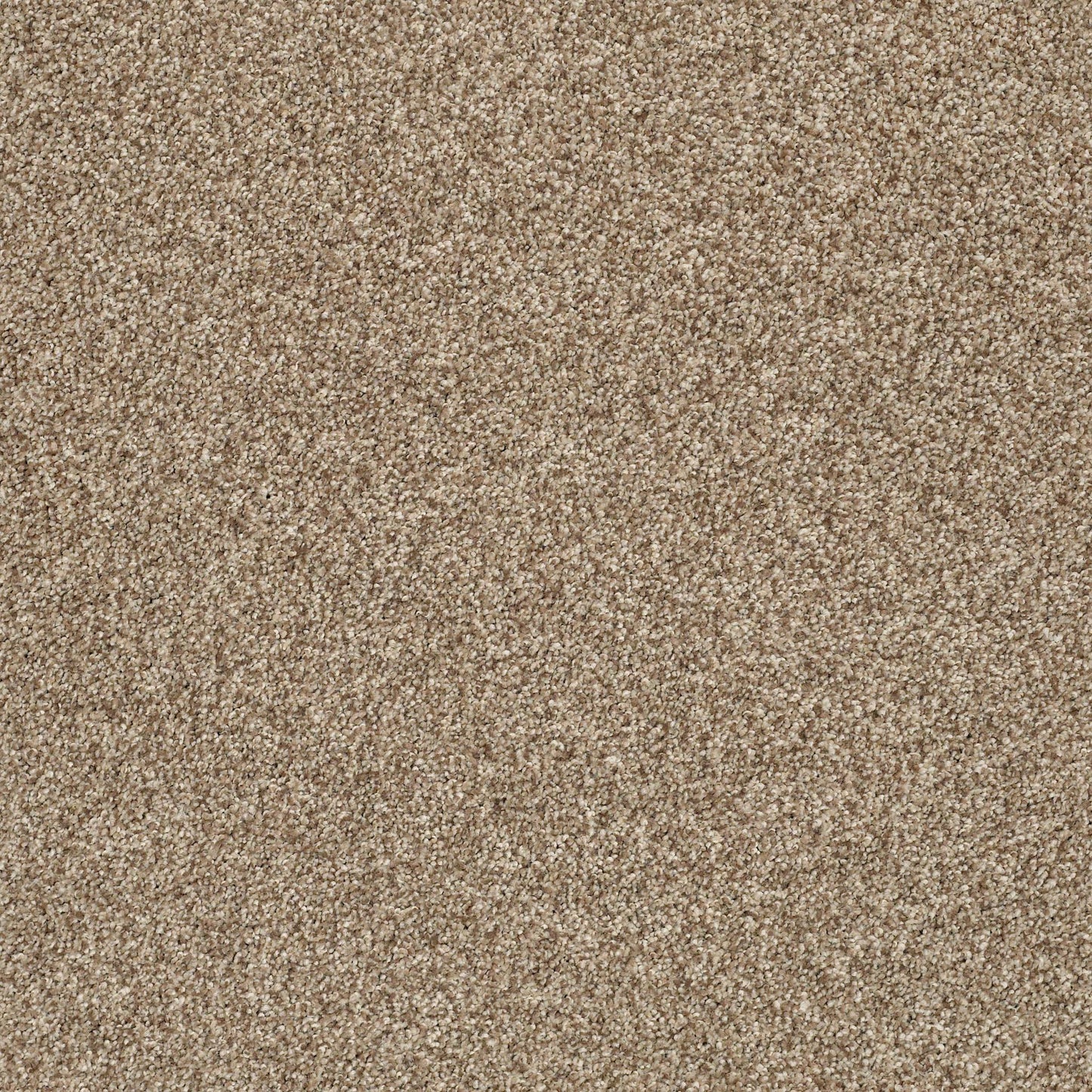 BERBER CUT PILE