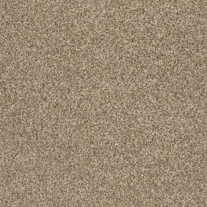 BERBER CUT PILE