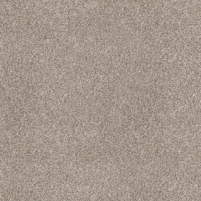 PET BCF