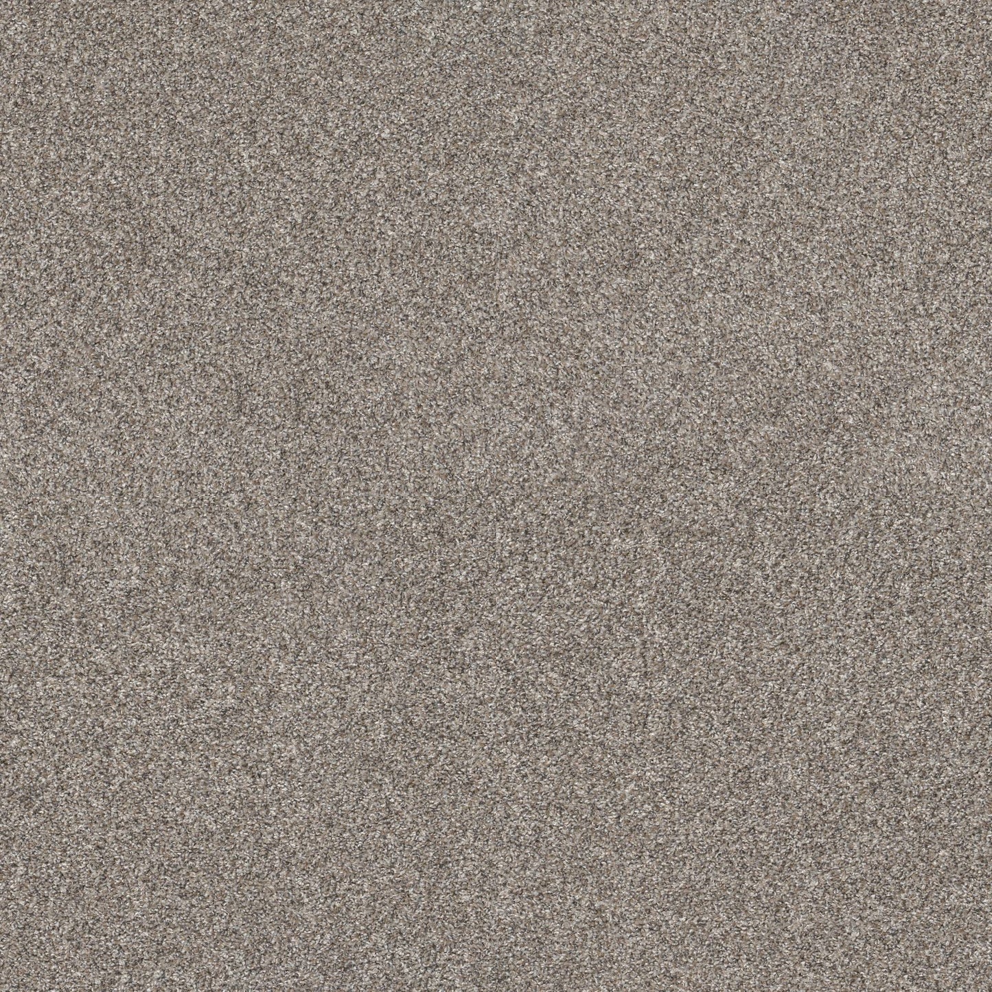 PET BCF