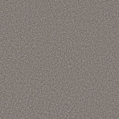PET BCF