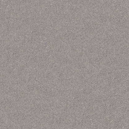 PET BCF
