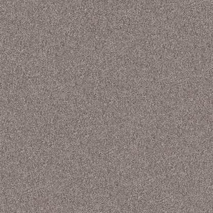 PET BCF