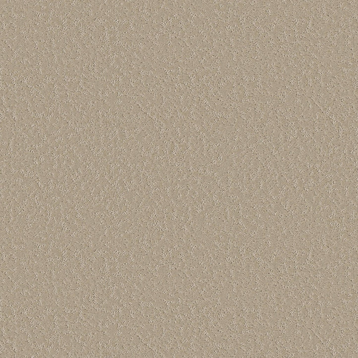 CUT UNCUT  R