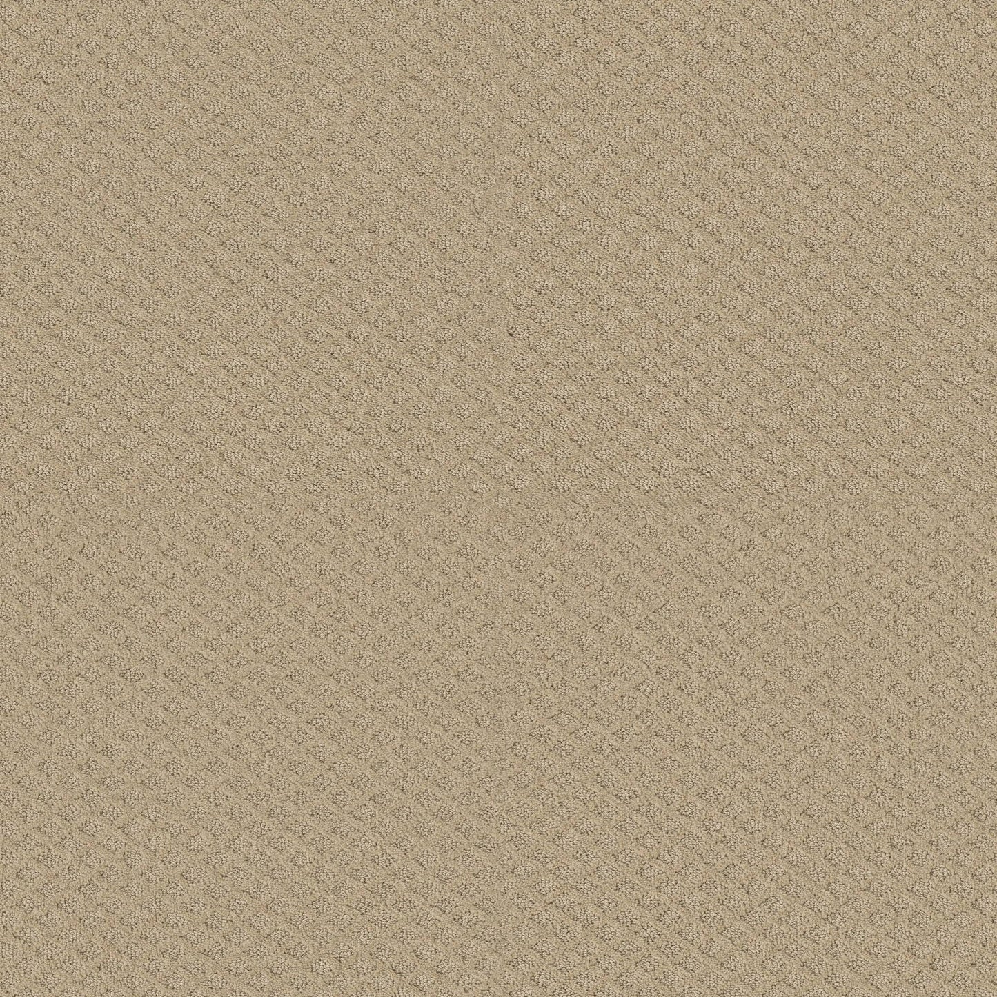 CUT UNCUT  R