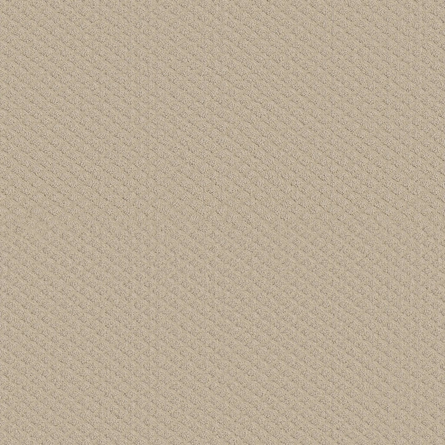 CUT UNCUT  R