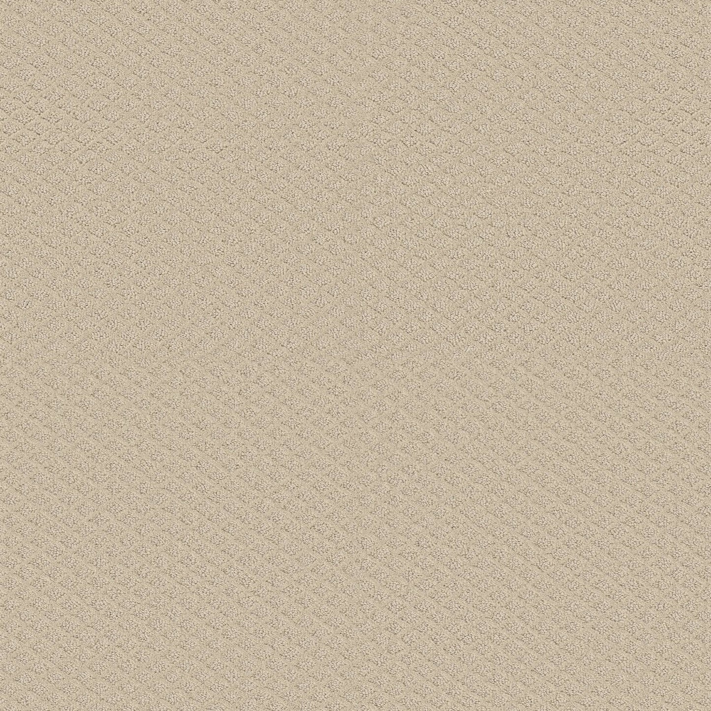 CUT UNCUT  R
