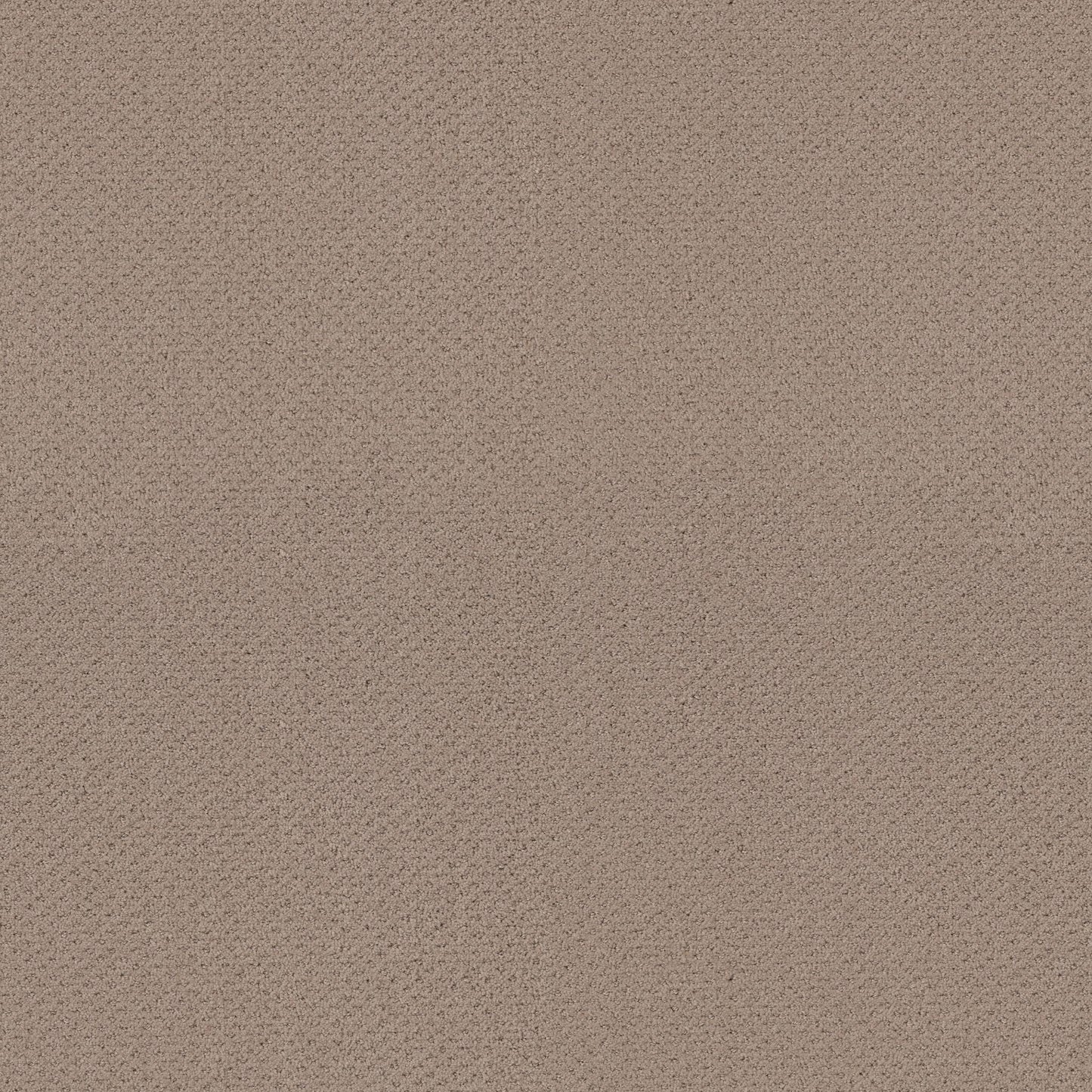 CUT UNCUT  R
