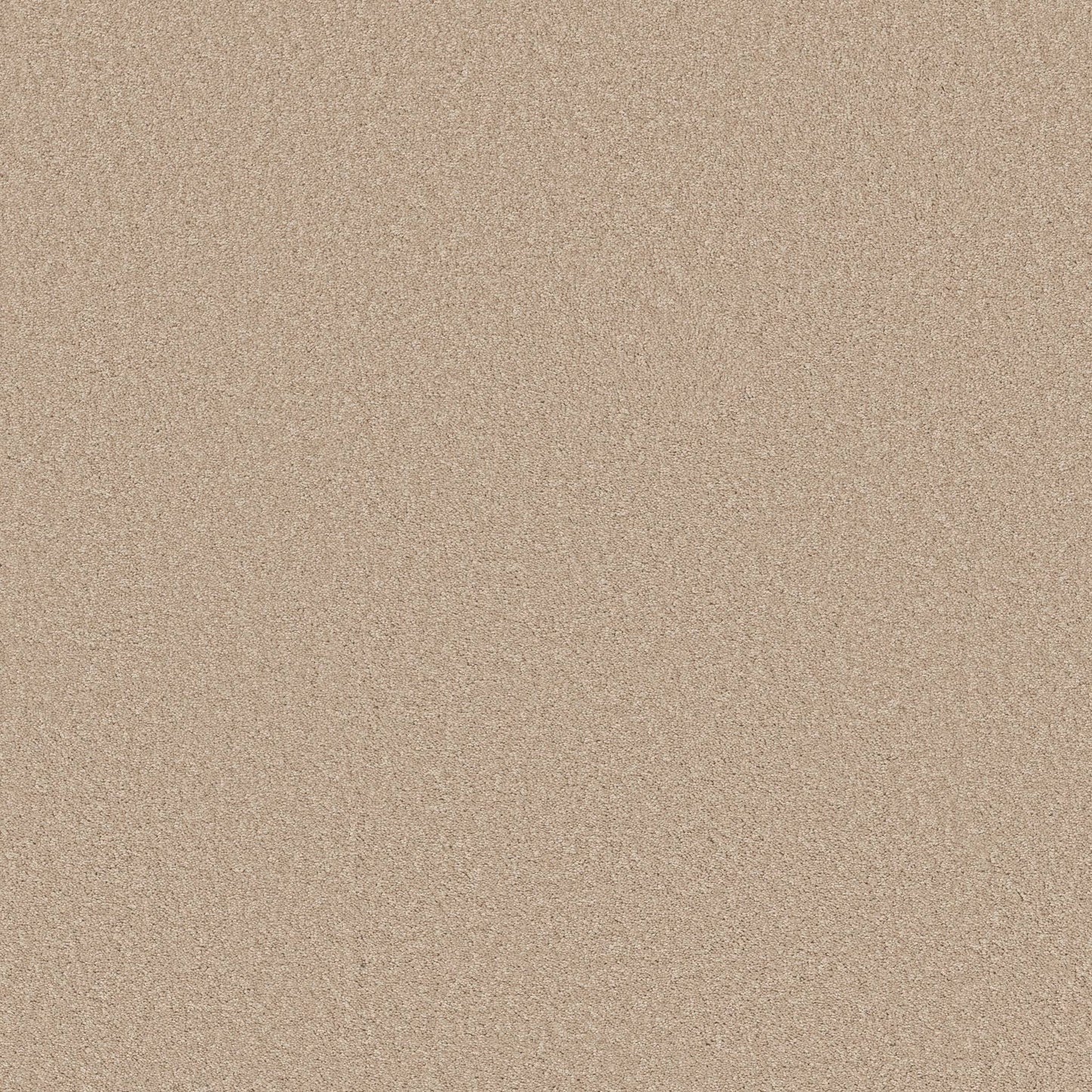 TEXTURE BCF