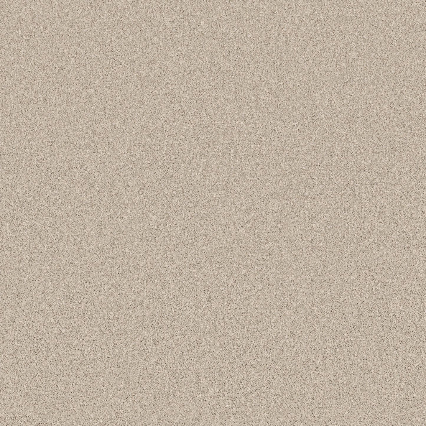 TEXTURE BCF