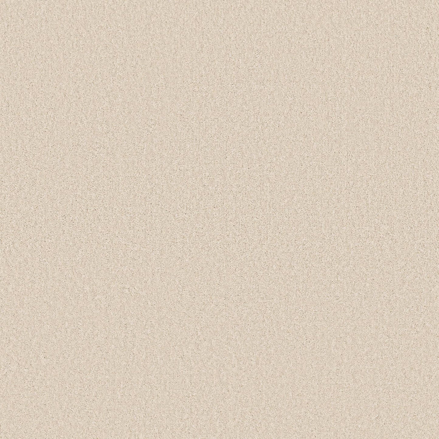 TEXTURE BCF