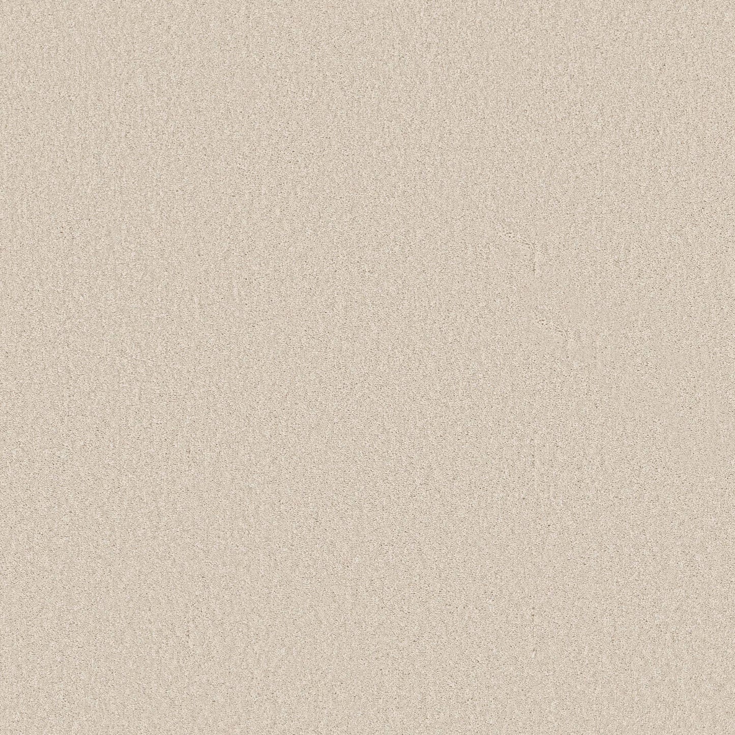 TEXTURE BCF