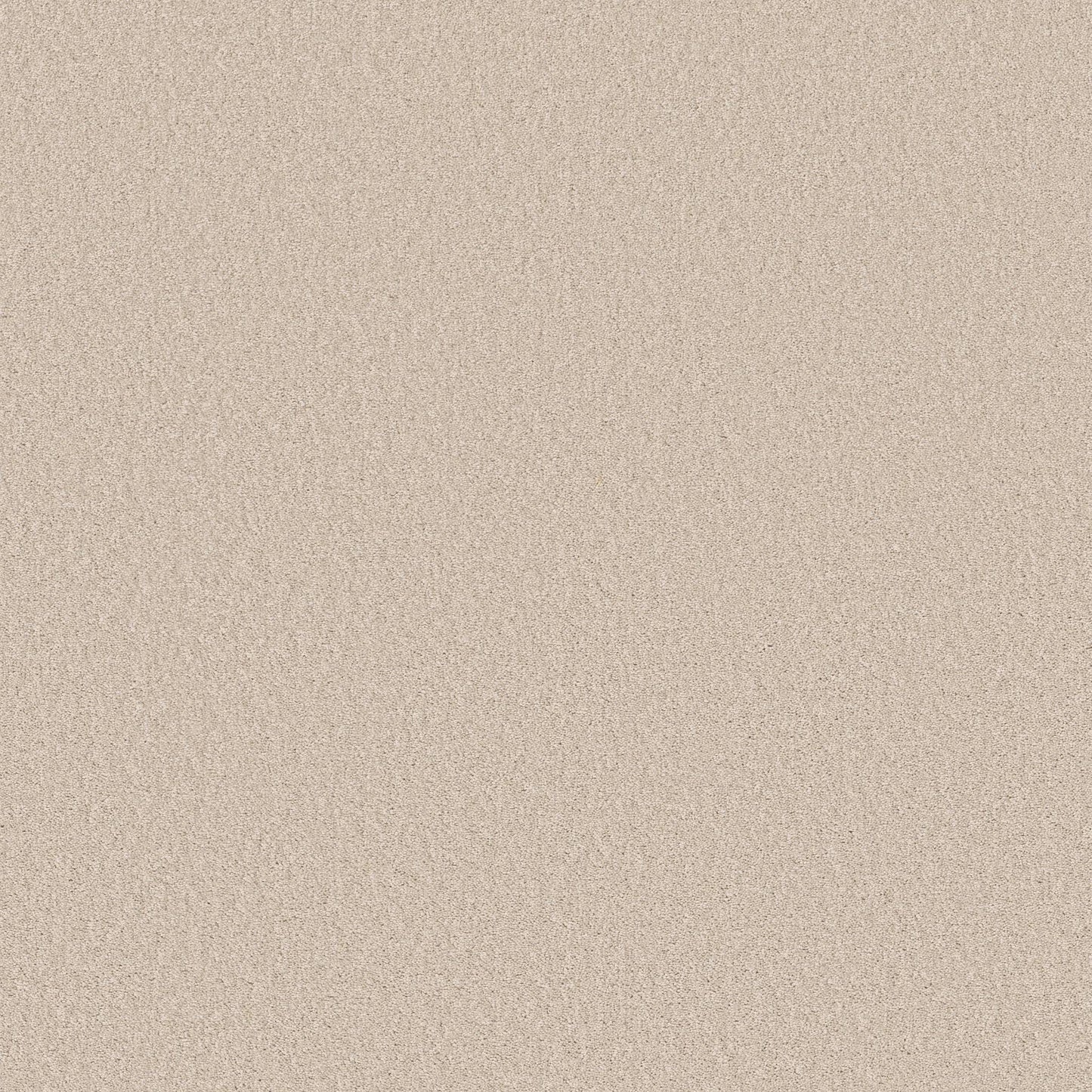 TEXTURE BCF