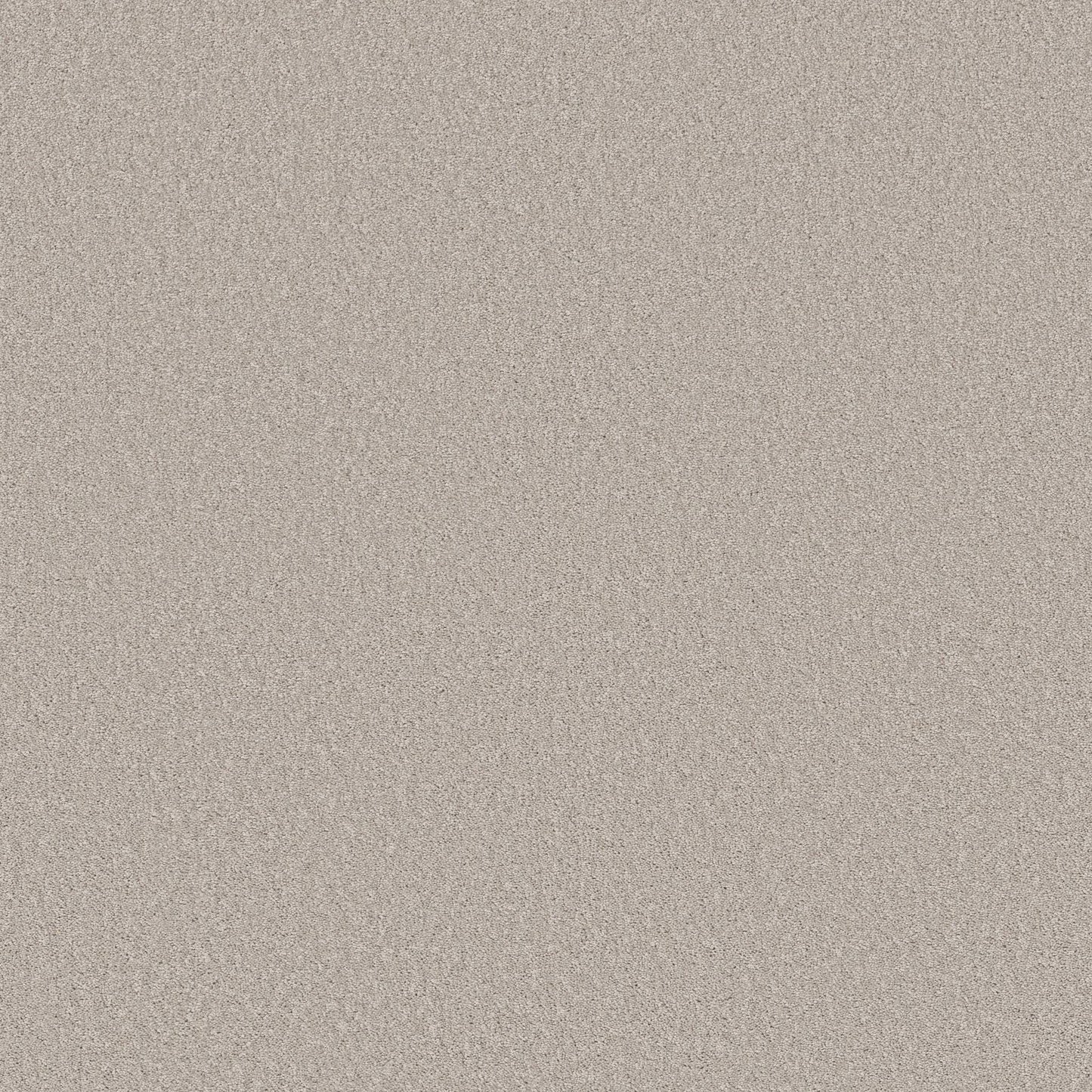 TEXTURE BCF