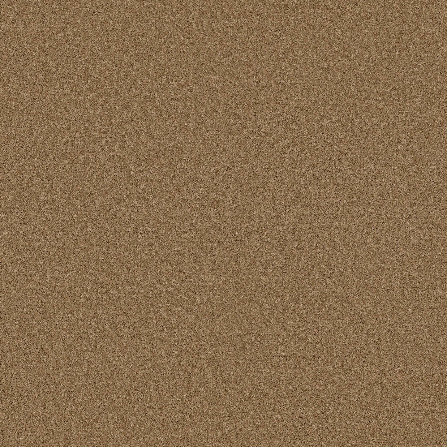 TEXTURE BCF
