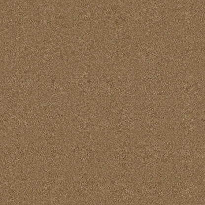 TEXTURE BCF