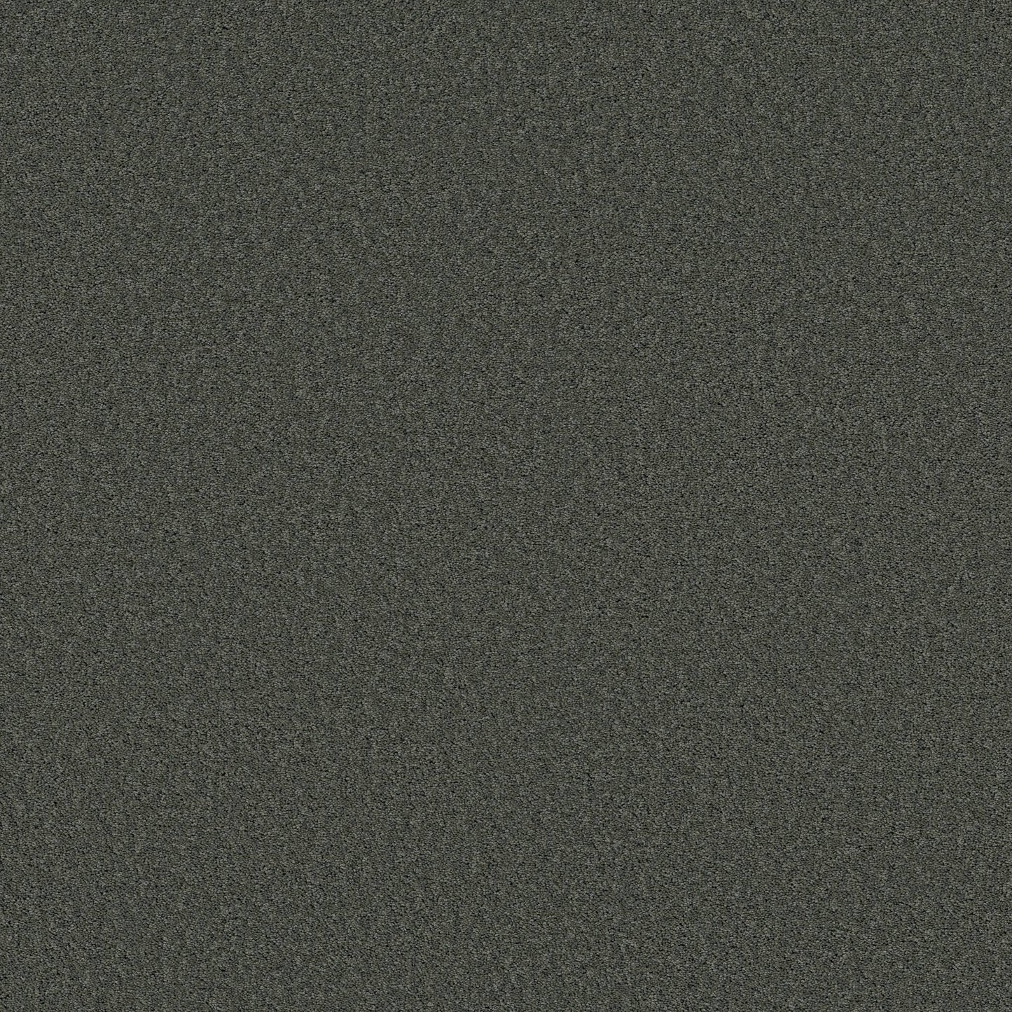 TEXTURE BCF