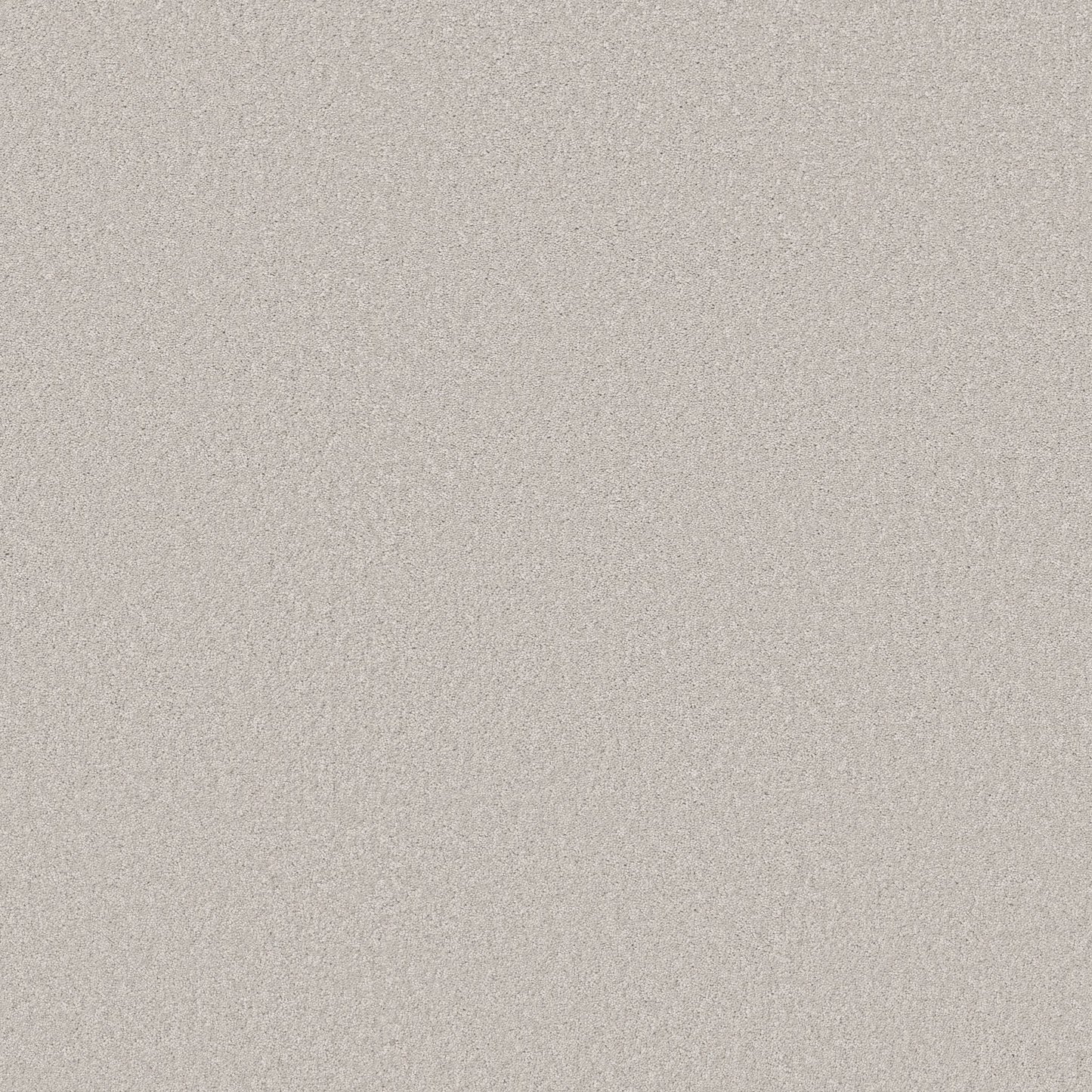 TEXTURE BCF