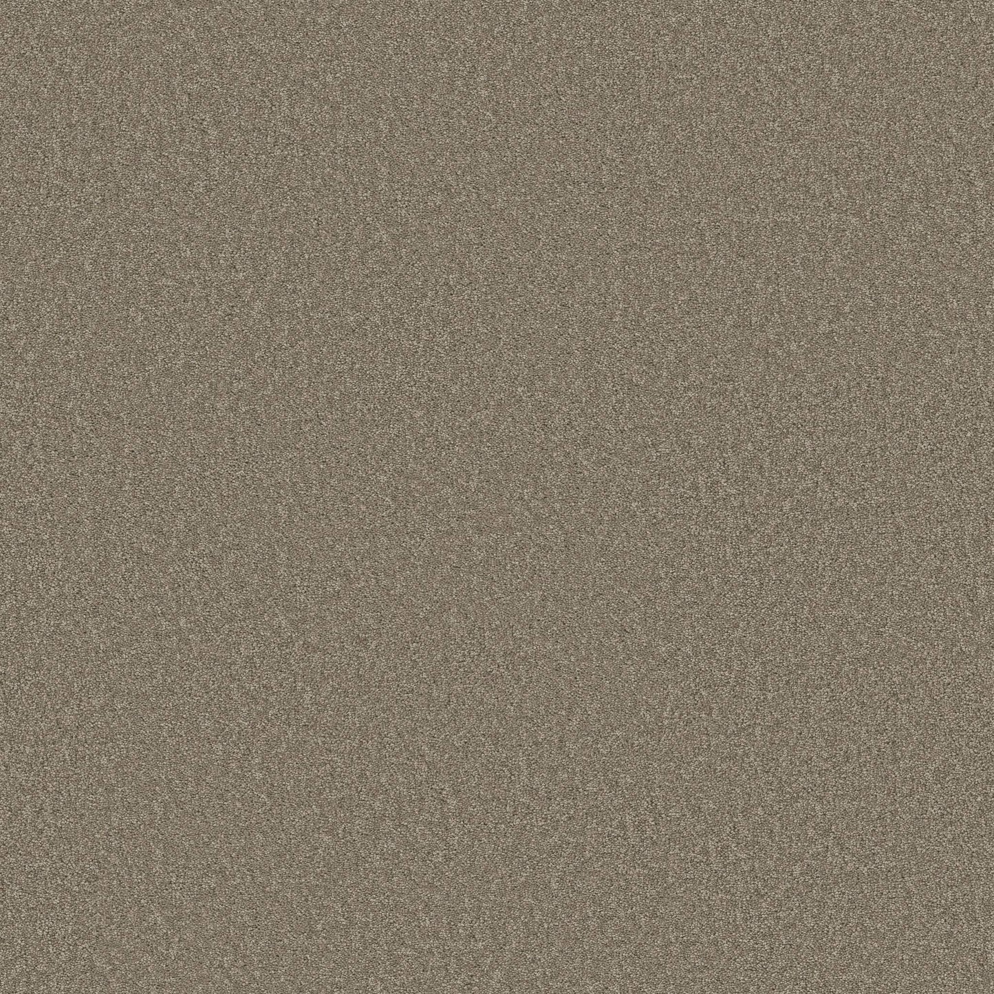 TEXTURE BCF