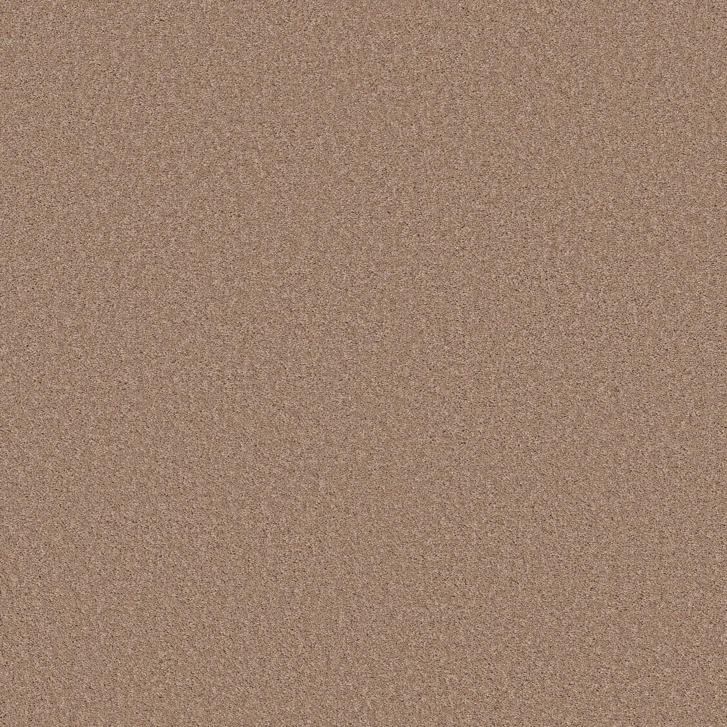 TEXTURE BCF