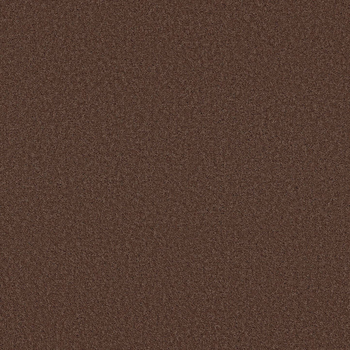 TEXTURE BCF