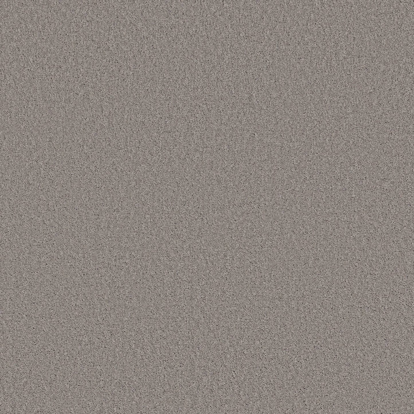 TEXTURE BCF