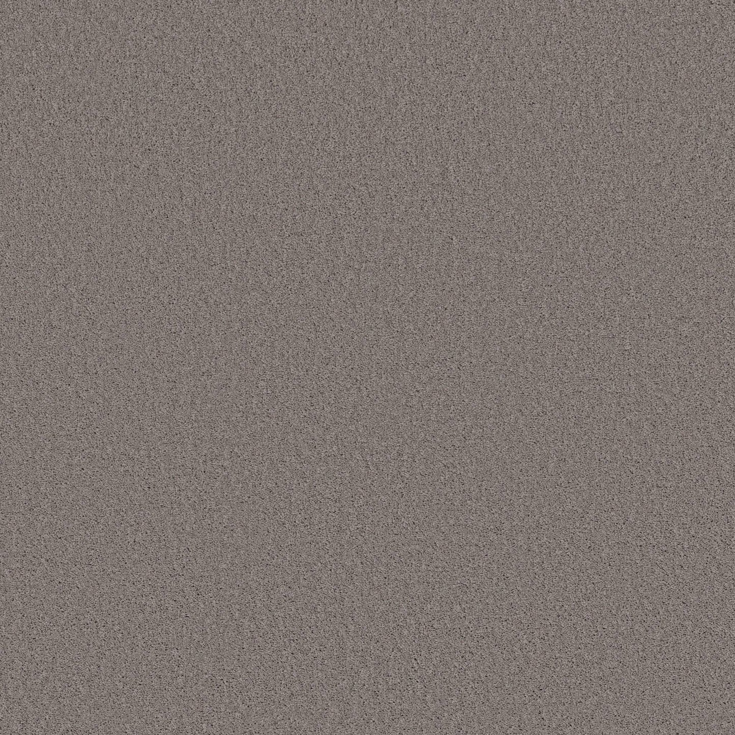 TEXTURE BCF