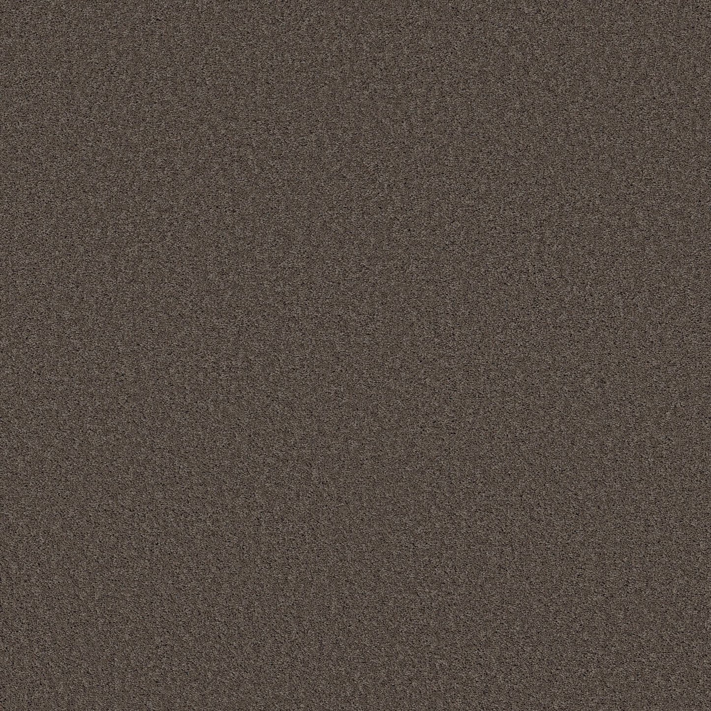 TEXTURE BCF