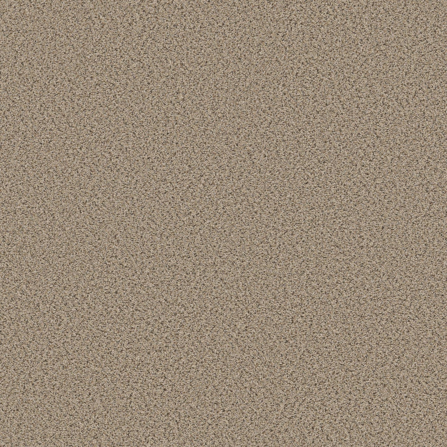 BERBER CUT PILE