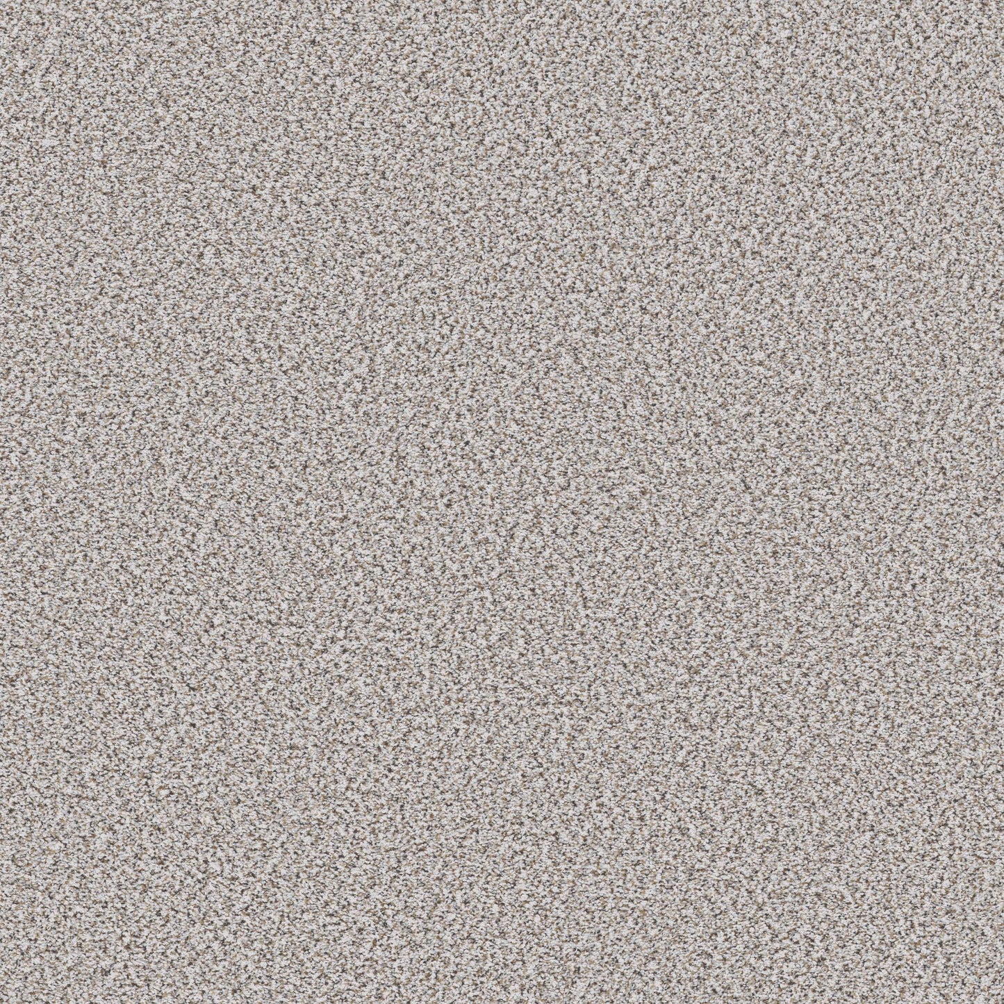 BERBER CUT PILE