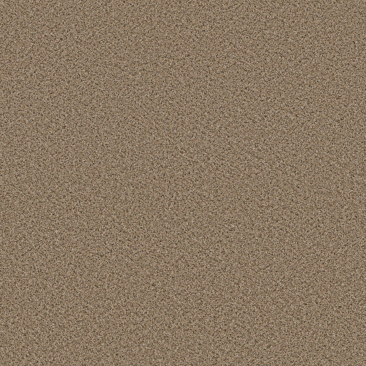BERBER CUT PILE