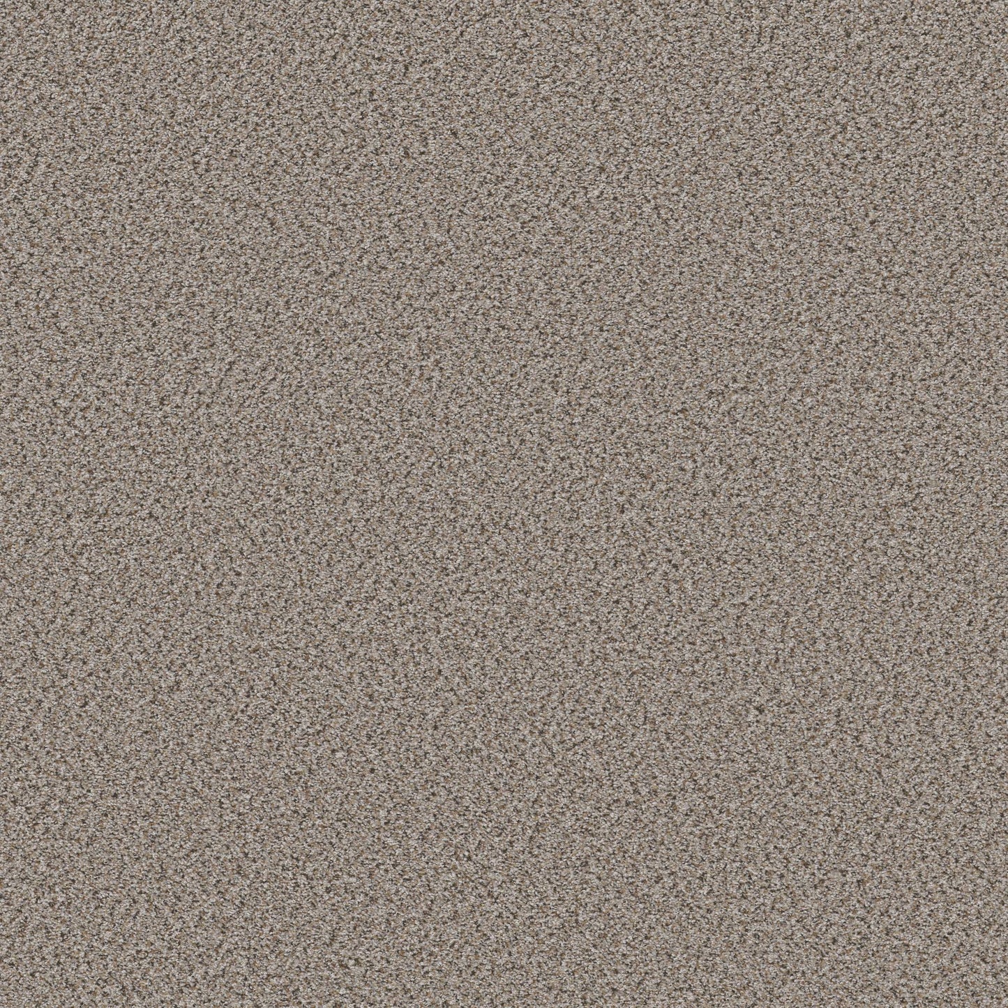 BERBER CUT PILE