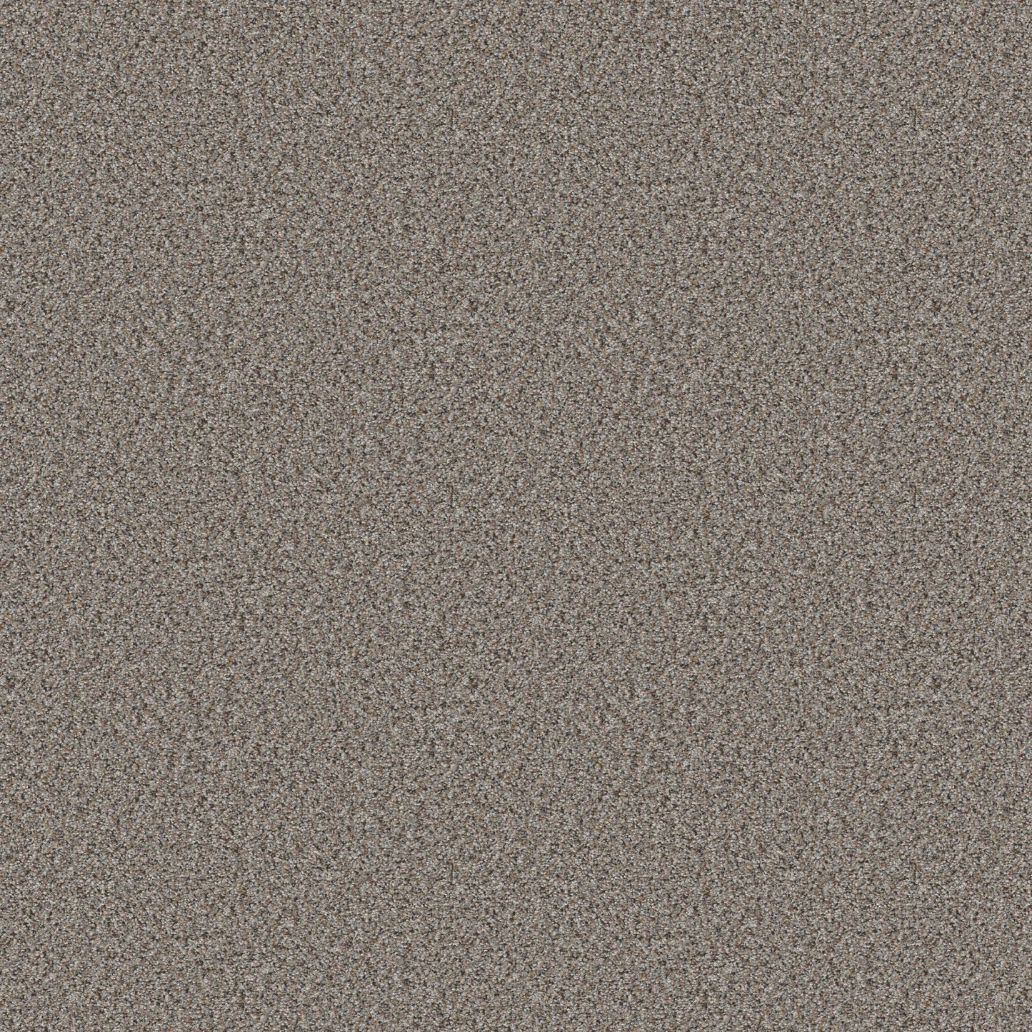 BERBER CUT PILE