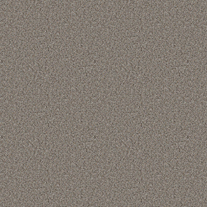 BERBER CUT PILE