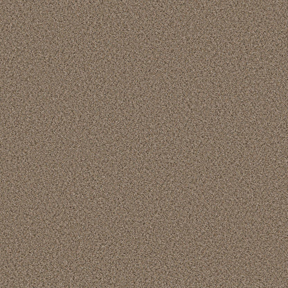 BERBER CUT PILE