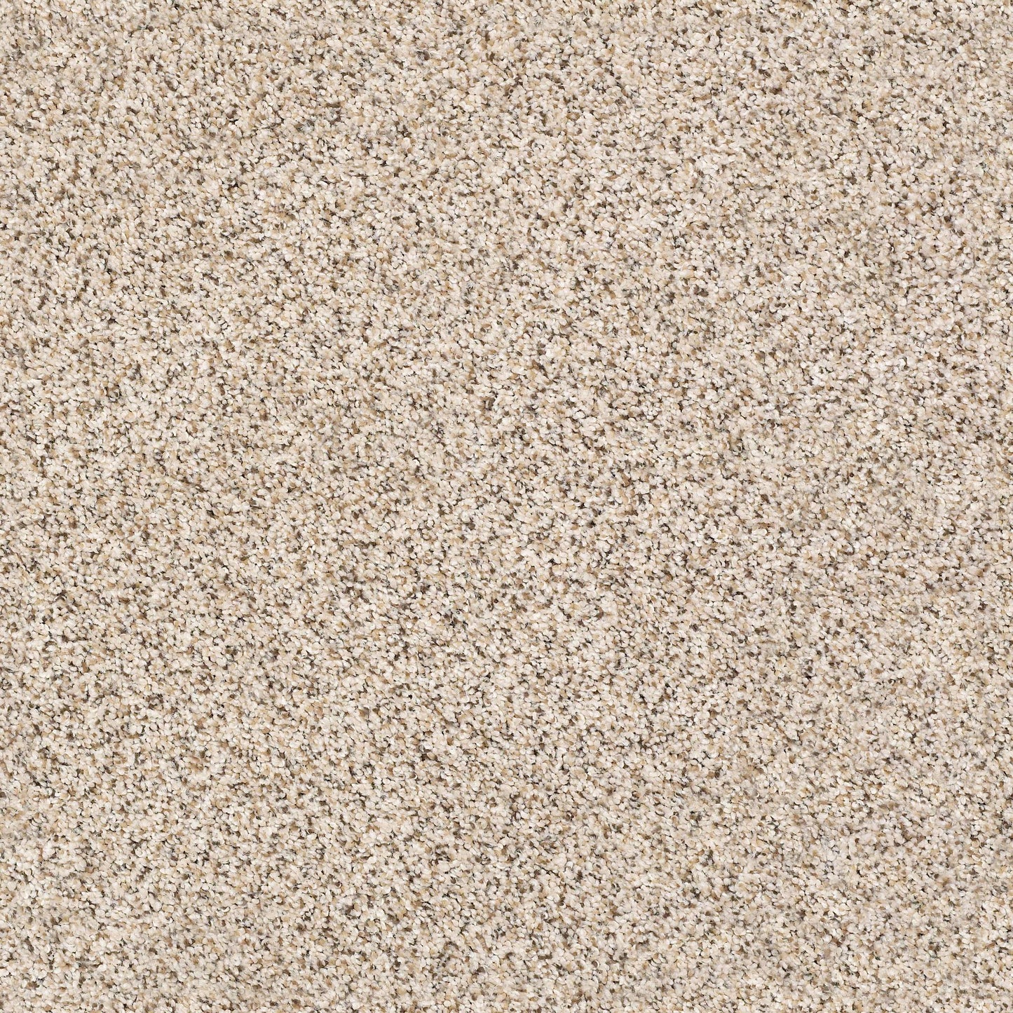 BERBER CUT PILE