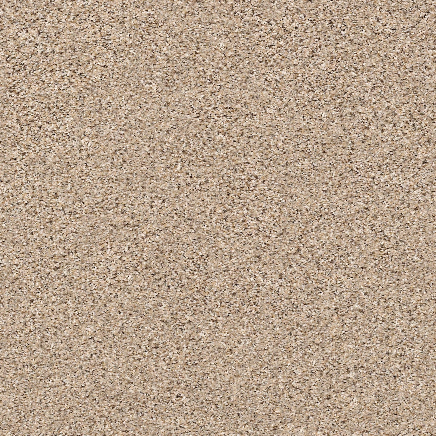 BERBER CUT PILE