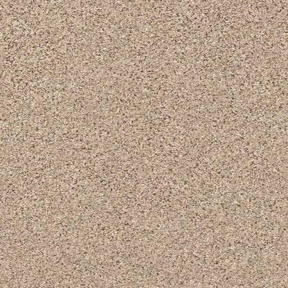 BERBER CUT PILE